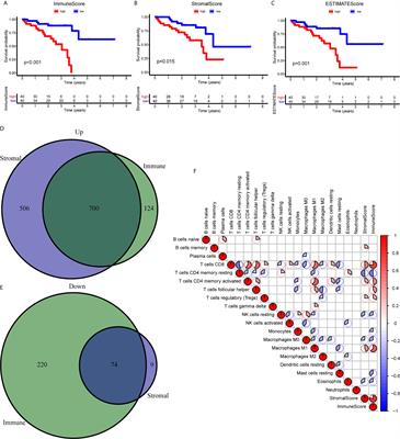 N6-Methyladenosine Regulators and Related LncRNAs Are Potential to be Prognostic Markers for Uveal Melanoma and Indicators of Tumor Microenvironment Remodeling